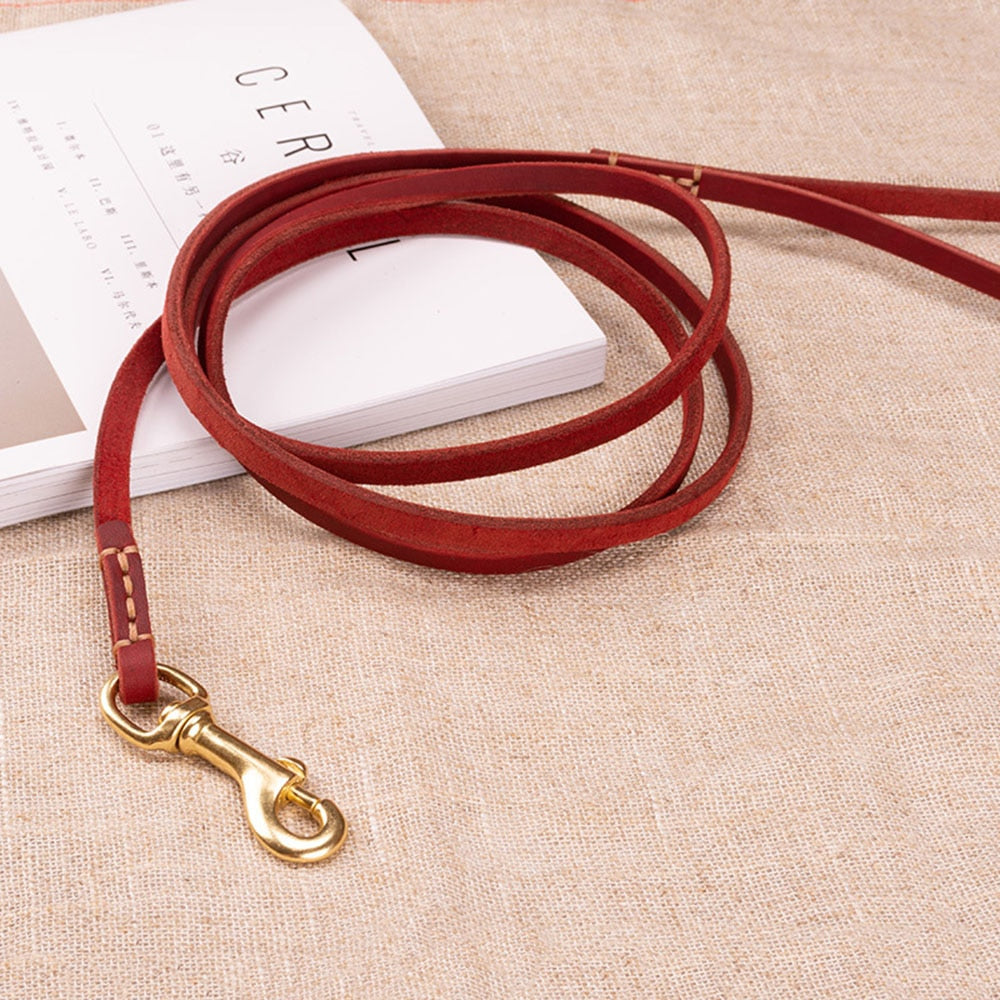 Handmade Genuine Leather Pet Leash | Lightweight Dog & Cat Leash in Multiple Colours Available
