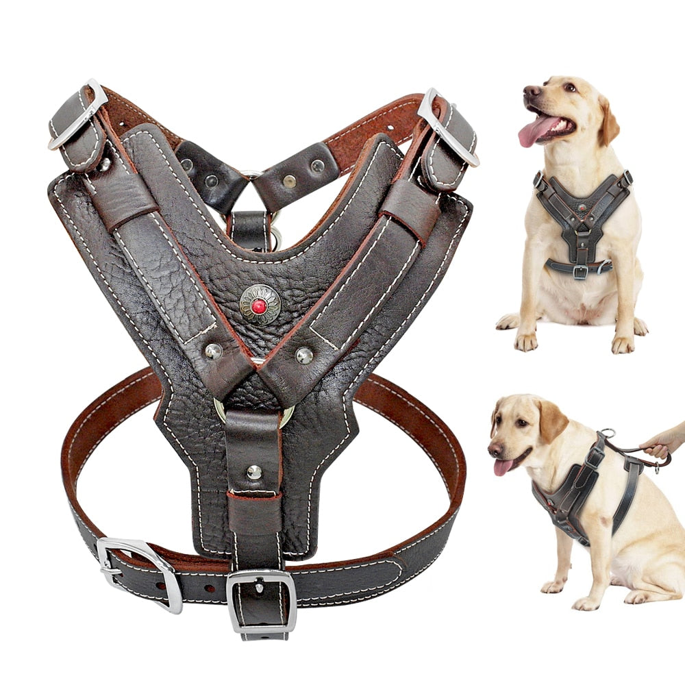 Durable Genuine Leather Dog Harness | Large Dog Vest Harness with Quick Control Handle | Adjustable and Heavy Duty for Pet Safety