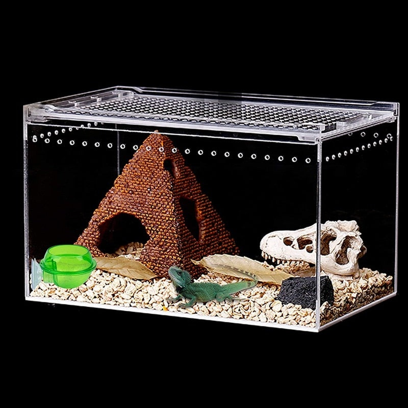 Reptile Suction-Mount Feeding Bowl | Elevated & Detachable Dish