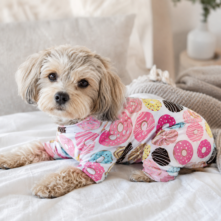 Small dog wearing cotton four-leg pyjamas while resting indoors