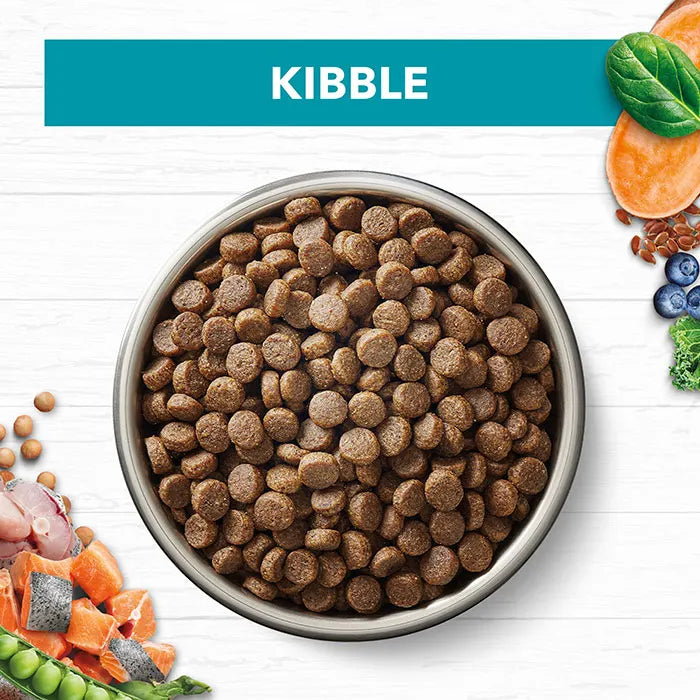 Ivory Coat Grain Free Ocean Fish & Salmon Adult Cat Food