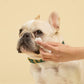Squeaky Probiotic Pet Eye Wipes 20 Pack