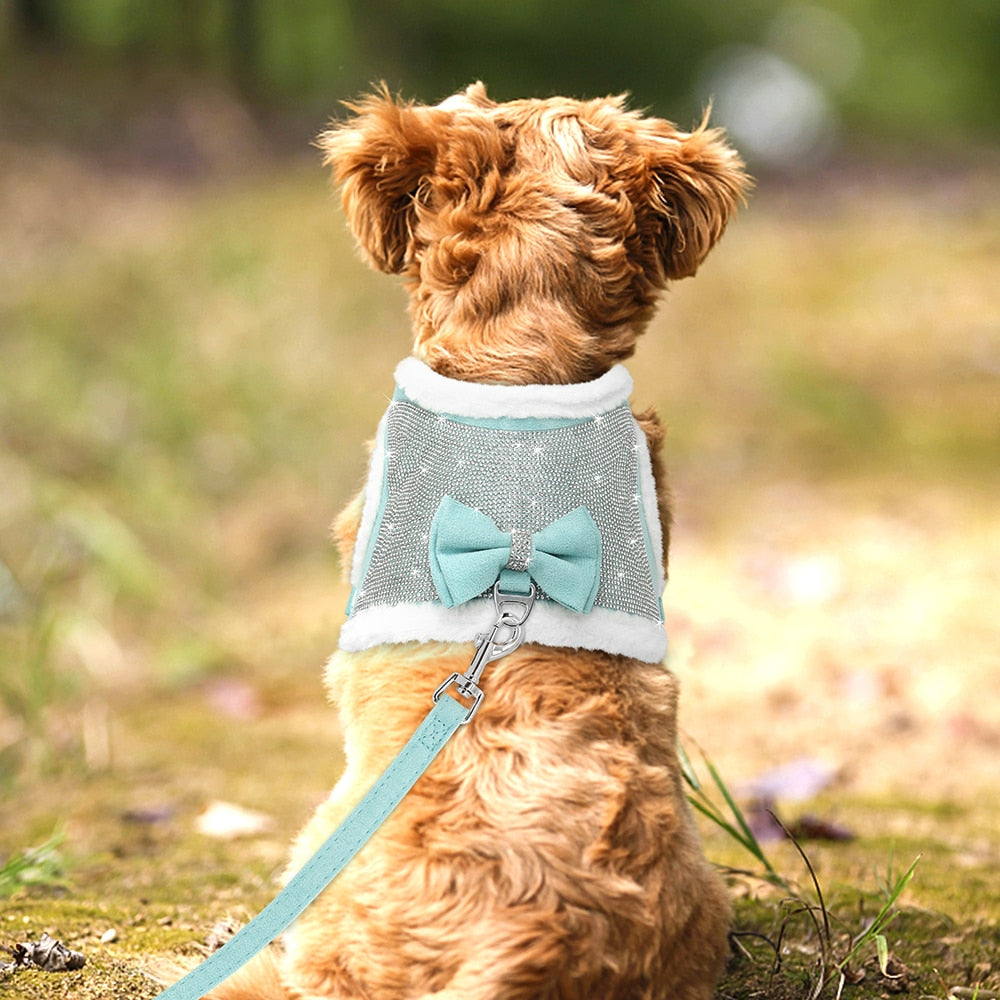 Stylish Rhinestone Harness and Leash Set with Bowtie | Cozy Winter Vest & Leash for Dogs and Cats