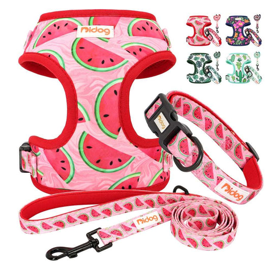 Adjustable Nylon Dog Collar, Harness, and Leash Set | Soft Mesh Vest for Small to Medium Dogs and Cats