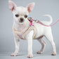 Soft Padded Harness with Leash | Cute Adjustable Set for Dogs and Cats