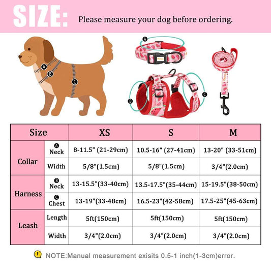 Adjustable Nylon Dog Collar, Harness, and Leash Set | Soft Mesh Vest for Small to Medium Dogs and Cats