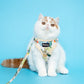 Soft Padded Mesh Harness with Leash | Walking and Running Supplies for Cats and Dogs