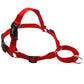 Nylon Dog Harness | Sizes S - XL| No-Pull, Adjustable Vest for Dogs