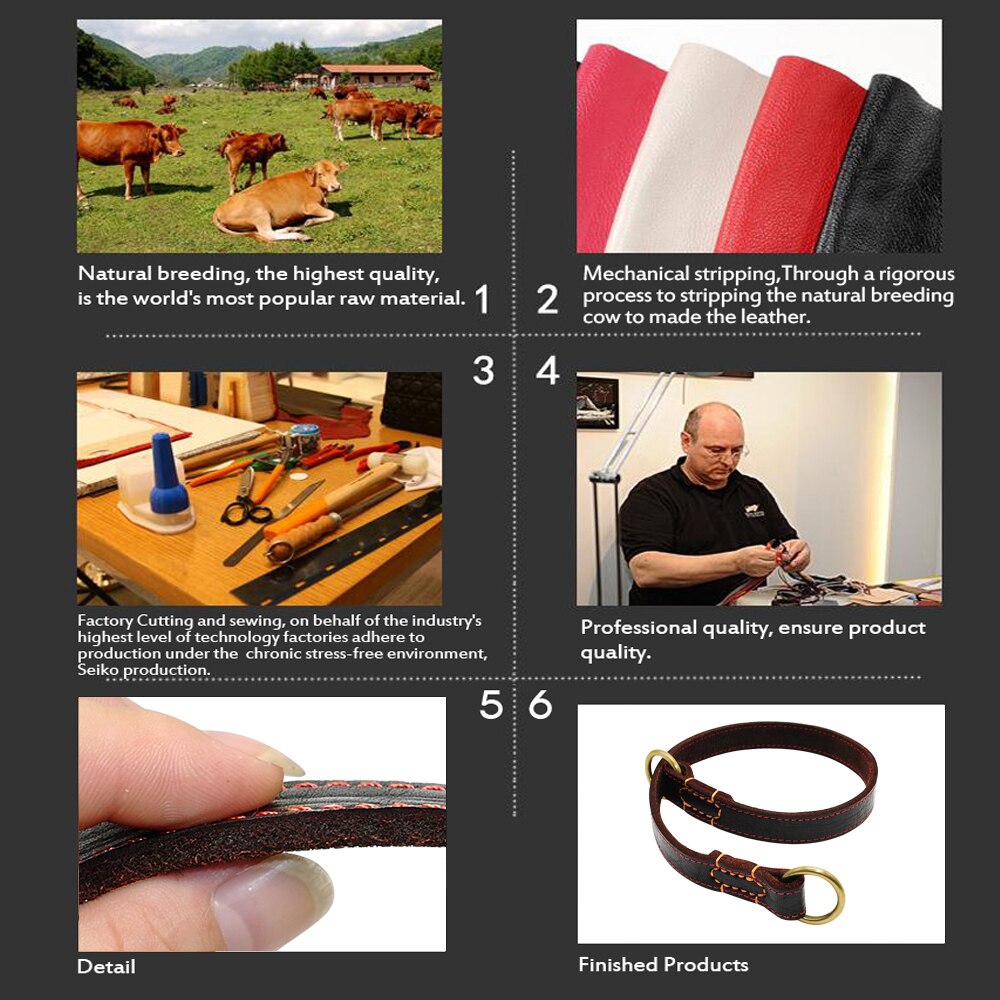 Durable Handmade Leather Dog Collar | Slip Training Collar for Medium to Large Dogs