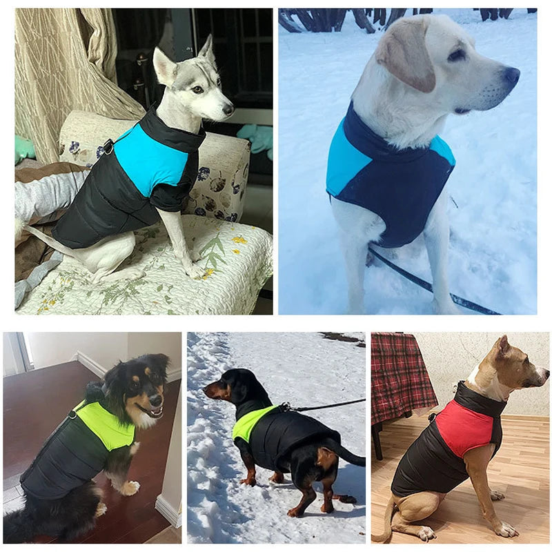 Winter Dog Coat Waterproof Vest | XS - 6XL