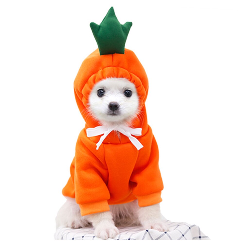 Cute Winter Outfits | Soft Fleece Hoodies with Plush Hoods | Warm Clothes for Dogs and Cats
