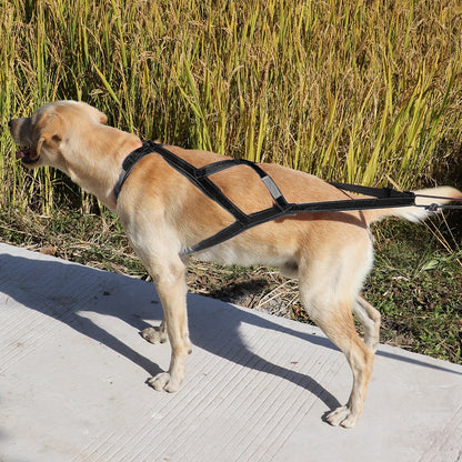 Large Dog Weight Pulling Harness | Back Training for Working, Exercise and More with Sled Capability