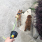 3m Retractable Dual Dog Leash with Lights