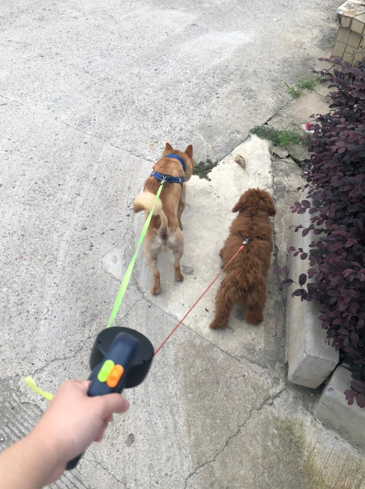 3m Retractable Dual Dog Leash with Lights