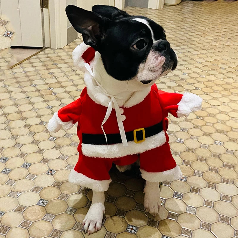 Dog Santa Claus Outfit | XS - XL Available