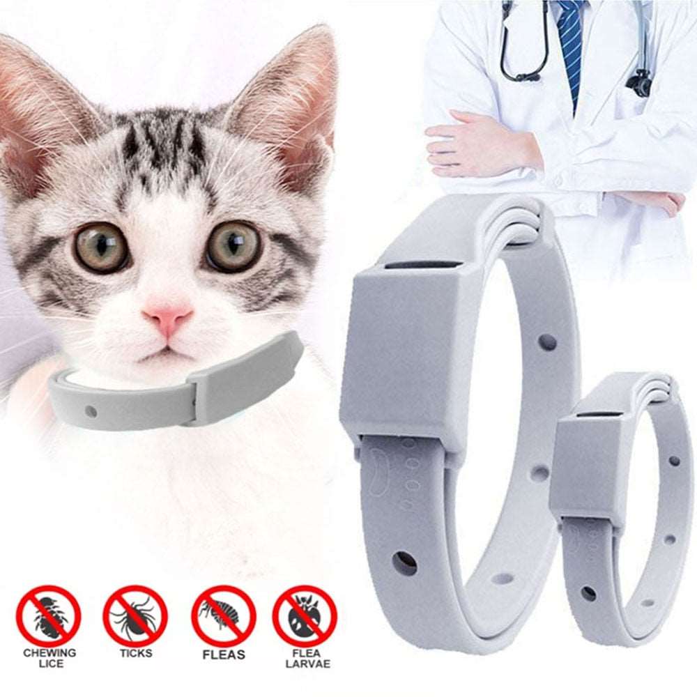 8-Month Anti Flea Tick Collar for Cat and Small Dog | Adjustable, Breakaway Pet Accessory, Long-lasting Protection