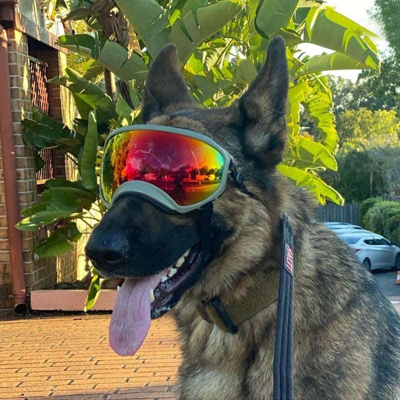 Adjustable Pet Dog Sunglasses | Anti-UV Protection, Waterproof, Windproof Eyewear for Travel, Dog Supplies