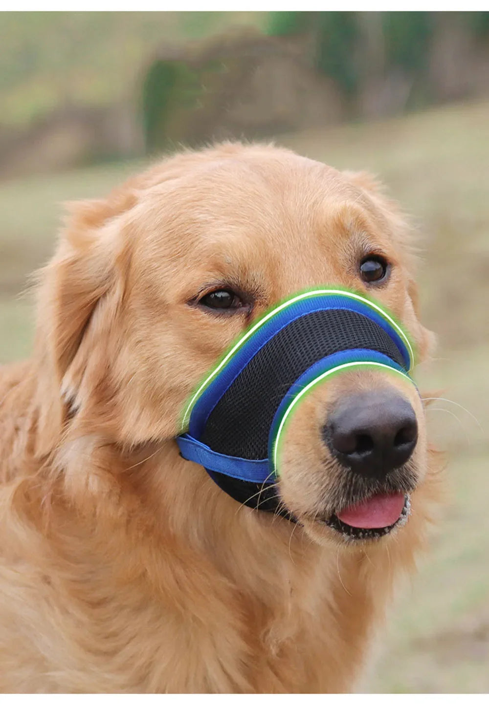 Adjustable Anti-Bark Mesh Dog Muzzle