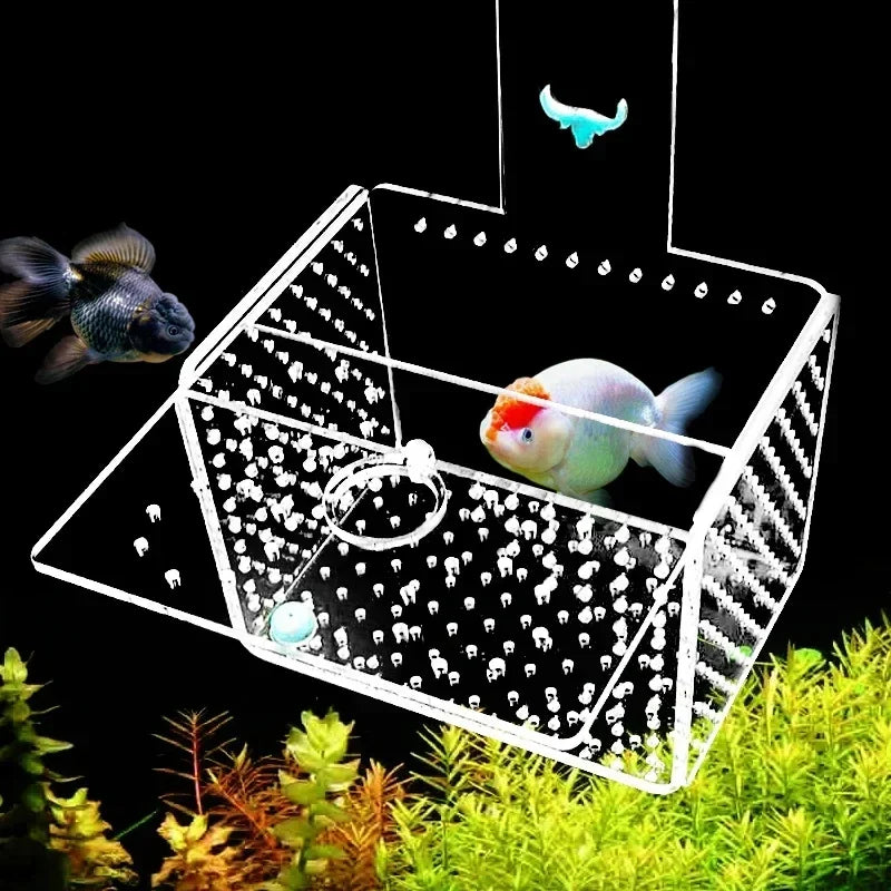 Fish Tank Isolation Box Acrylic Fish Tank Isolation Breeding Box