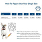 Breathable Dog Boots & Paw Protectors