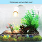 Adjustable Clip-On UVA/UVB Reptile Heat Lamp