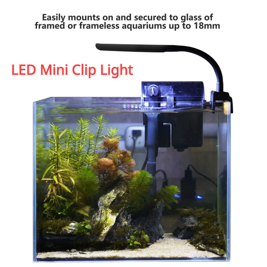 Full Spectrum LED Aquarium Light | Clip-On