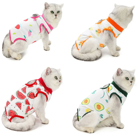 Cat Recovery Suit | E-Collar Alternative