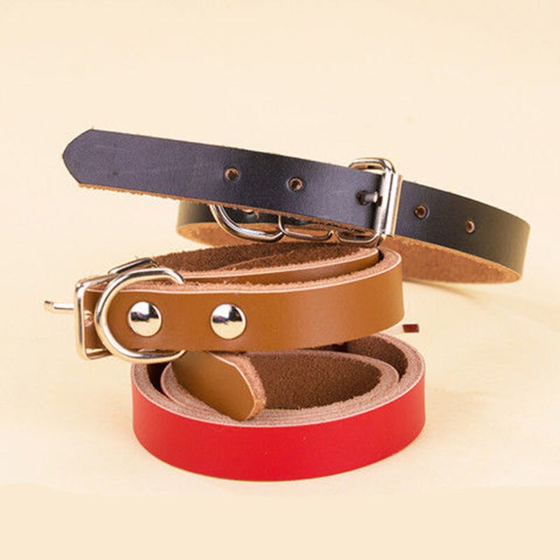 Genuine Leather Adjustable Dog Collars | Pet Collar Leash Lead for Small, Medium, and Large Dogs | Bulldog, Pug, and Beagle Supplies