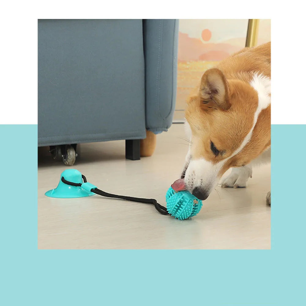 Dog Chew Ball Toy | Interactive Treat Dispenser