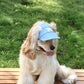 Dog Hat with Ear Holes | Denim Cap