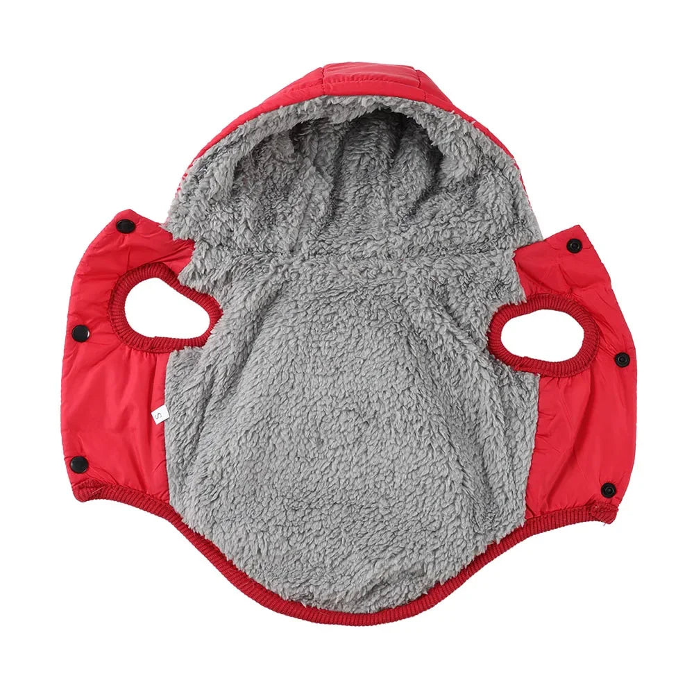 Warm Cats Hoodie Coat | Windproof & Fleece
