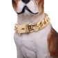 Large Dog Chain Collar | 19mm Gold Buckle