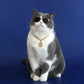 Cat & Dog Princess Necklace | Dollar Sign