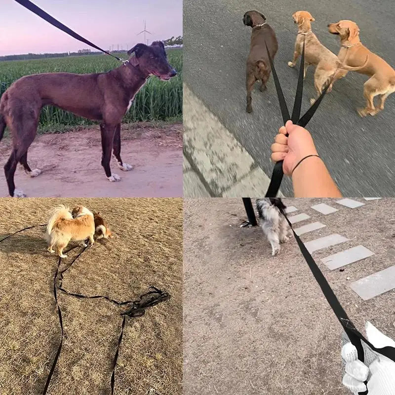 Long Strong Nylon Dog Leash | 1.5m - 50m Available