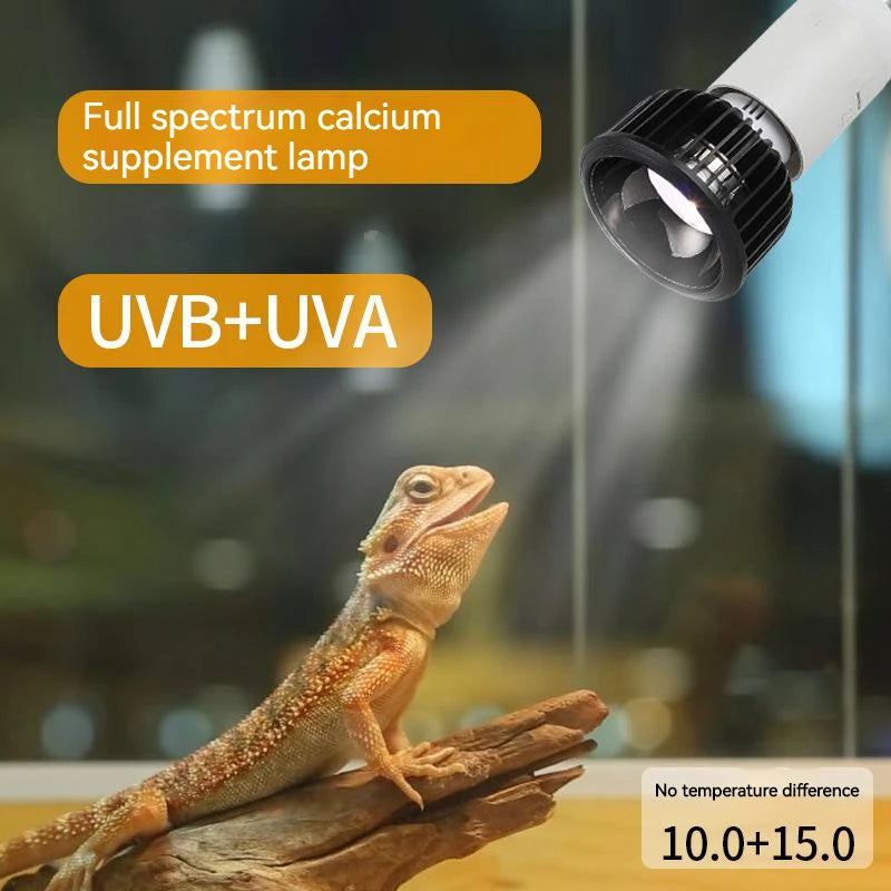 Reptile UVA+UVB Lamp Bulb 6W for Turtle Basking | UV Light for Amphibian Heating and Lizard Temperature Control