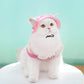 Small Dog/Cat Cowboy Hat with Ear Holes | Multiple Colours Available