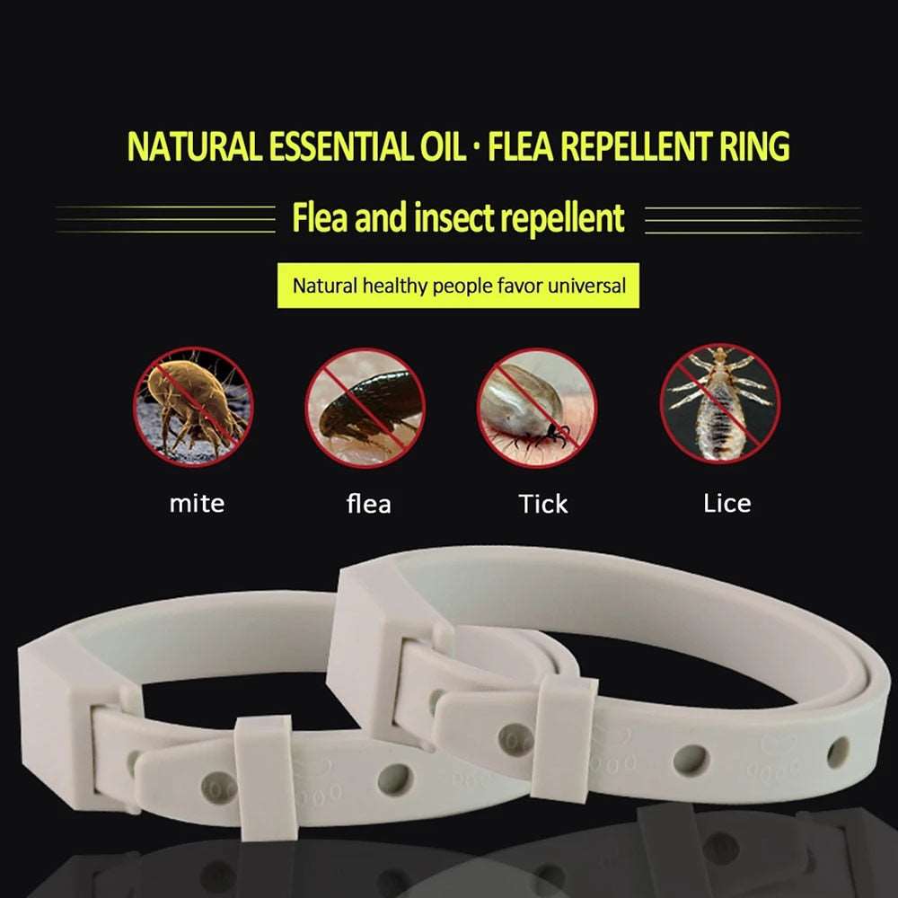 8-Month Anti Flea Tick Collar for Cat and Small Dog | Adjustable, Breakaway Pet Accessory, Long-lasting Protection