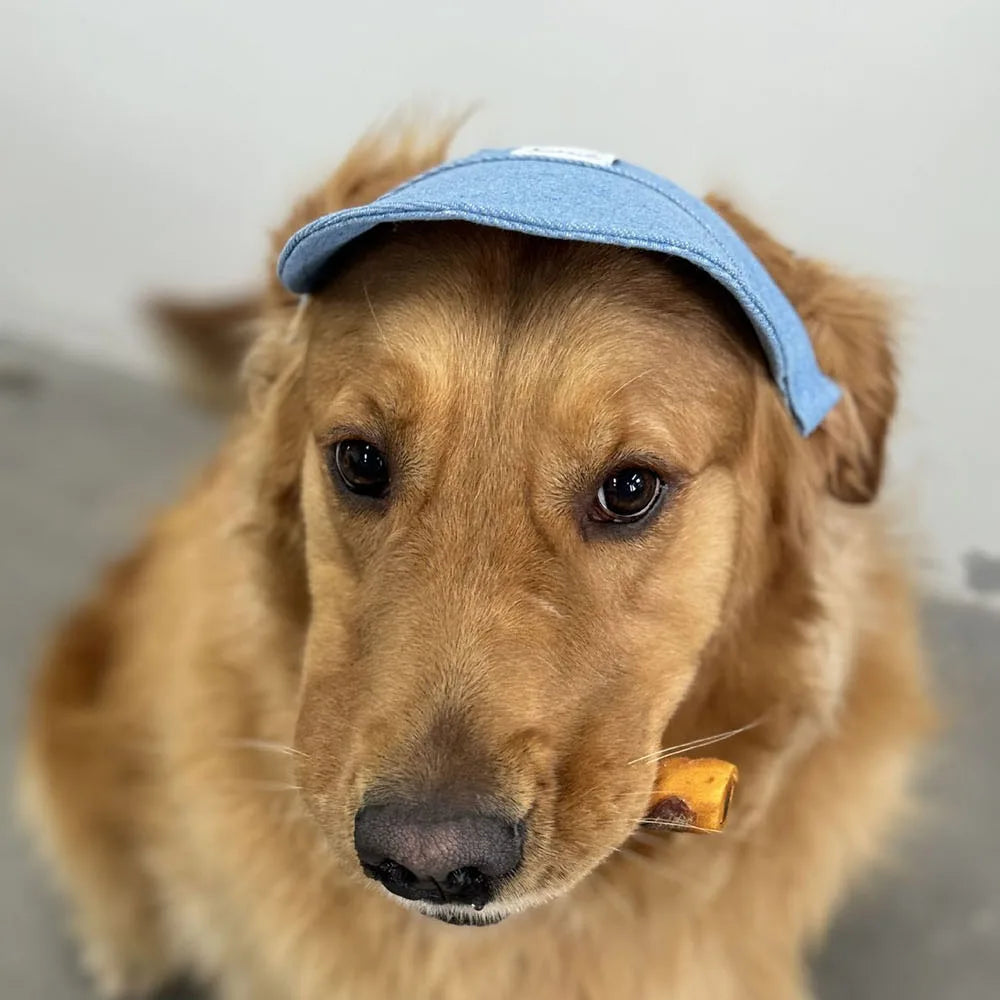 Dog Hat with Ear Holes | Denim Cap