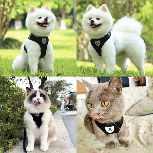 Pet Harness Leash Set | Reflective & Breathable