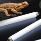 T5 UVB Lamp for Reptiles | Promotes Calcium Absorption for Healthy Growth and Bone Development