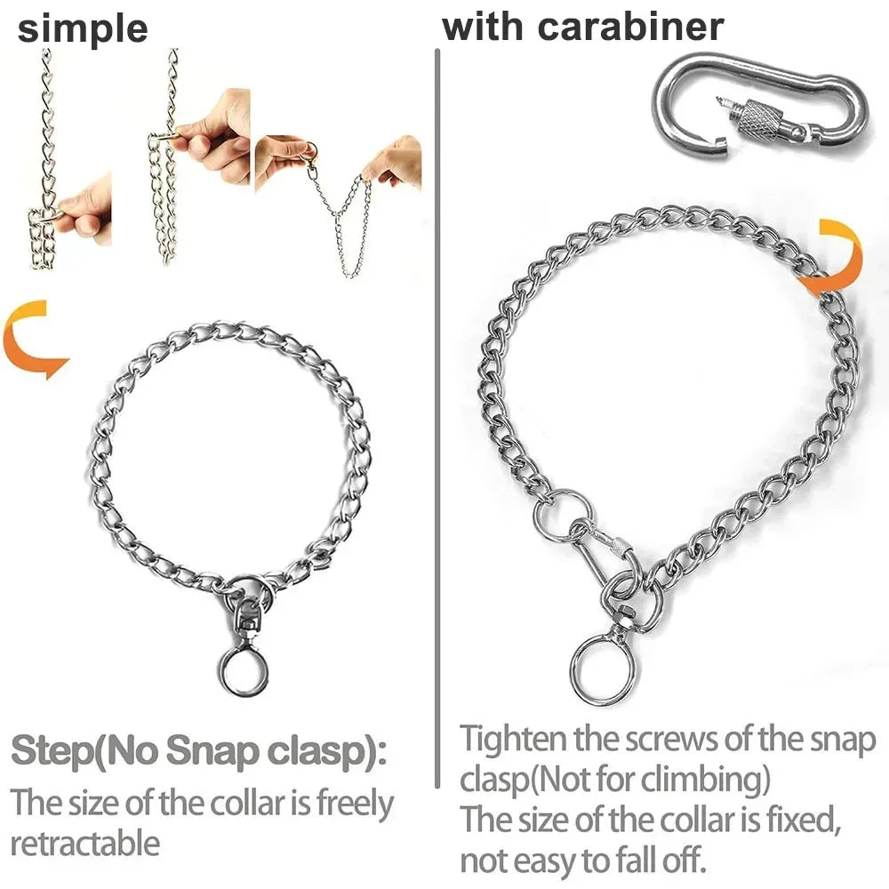 Stainless Steel P Chain Collar