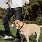 No Pull Leather Martingale Dog Collar
