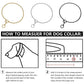Metal Chain Dog Show Collar | Adjustable