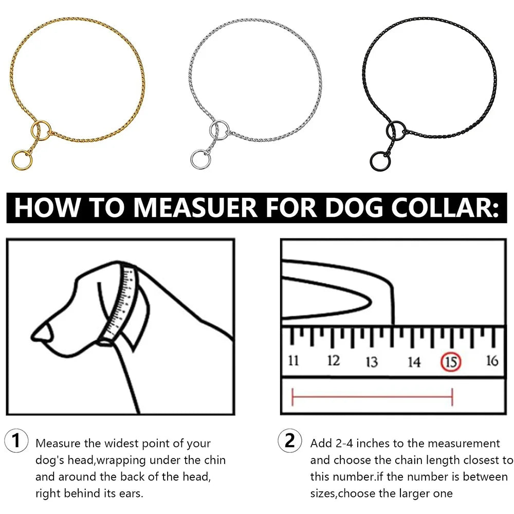 Metal Chain Dog Show Collar | Adjustable