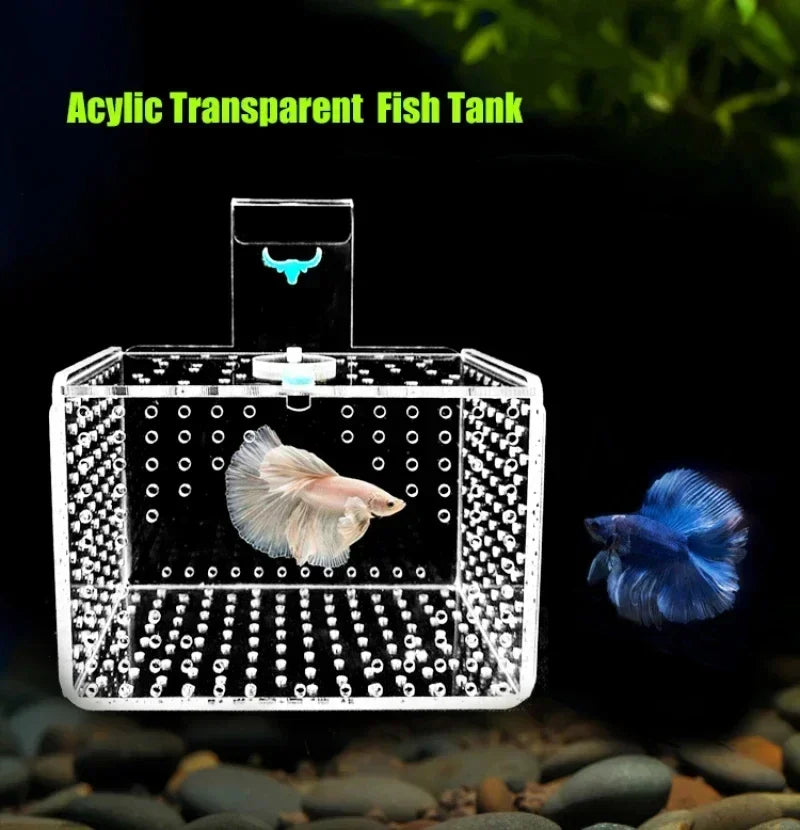 Acrylic Fish Tank Isolation Breeding Box | Transparent Aquarium Fry Incubator for Small Fish and Fry Protection