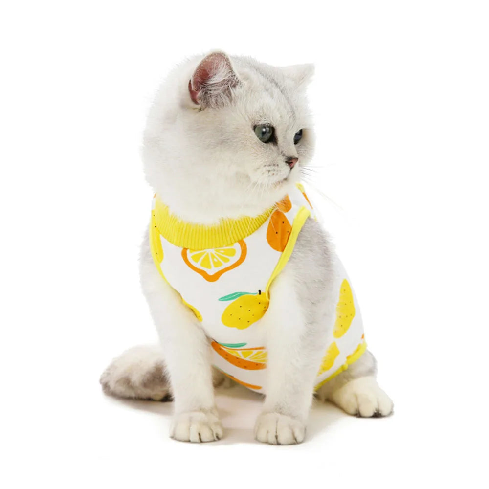 Cat Recovery Suit | E-Collar Alternative