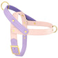 Leather Harnesses | No-Pull, Soft Padded Vest for Pets | Adjustable & Colourful Prints