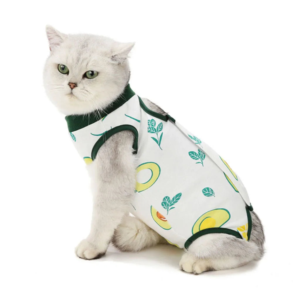Cat Recovery Suit | E-Collar Alternative