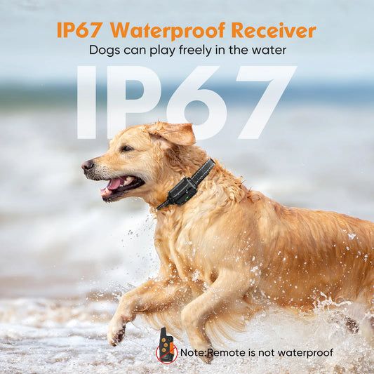 3300ft Waterproof Dog Training Collar
