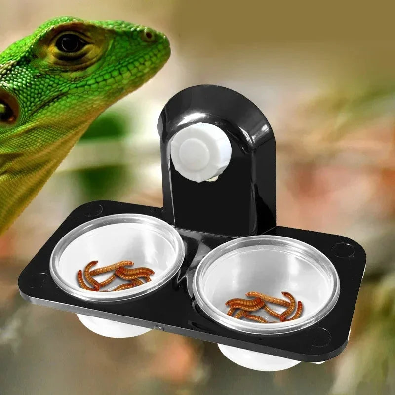 Minimally Designed Dual-Use Feeding Basin | Ideal for Amphibians and Reptiles